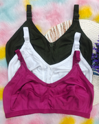 Pack of 3 Women’s Cotton Blend Seamed Bras | Non-Padded, Wire-Free | Plus Size Fit | Mehandi, White & Onion