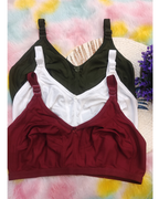 Pack of 3 Women’s Cotton Blend Seamed Bras | Non-Padded, Wire-Free | Plus Size Fit | Mehandi-White-Maroon