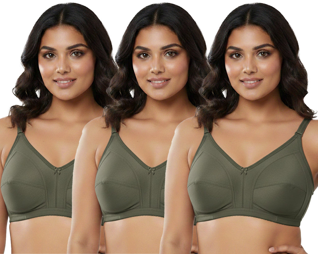 Pack Of 3 / Women's Seamed Regular Cotton Blend Solid Non Padded Soft Strap Plus Size Bra